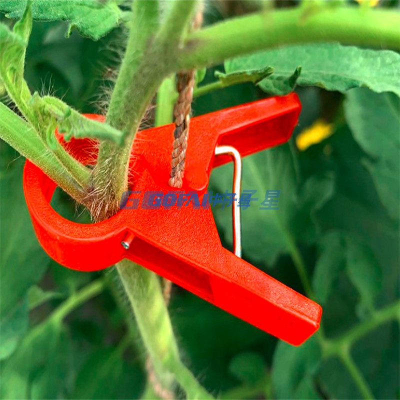 西瓜菜园番茄格子夹塑料植物支撑夹/厂家直供番茄植物夹塑料嫁接夹